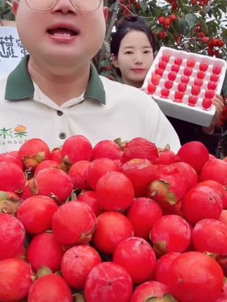 【头茬珍珠蜜柿】新鲜农家采摘火晶柿子一口吸流心蜜柿坏果包赔#珍珠密柿 #柿子 #火晶柿子 #新鲜水果 #新鲜应季水果