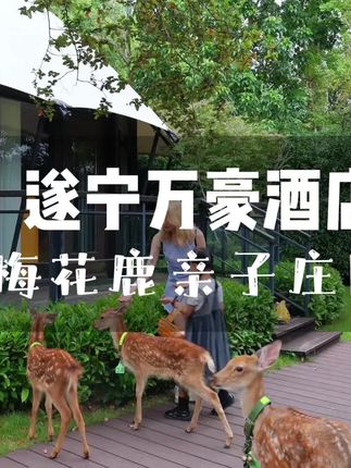 这里不是奈良,是遂宁的万豪酒店~假期就带上小朋友来这里,体验与梅花鹿为邻吧~#遂宁首座万豪酒店 #国庆中秋去哪儿玩 #四川小三亚 #梅花鹿亲子庄园 #梅花鹿