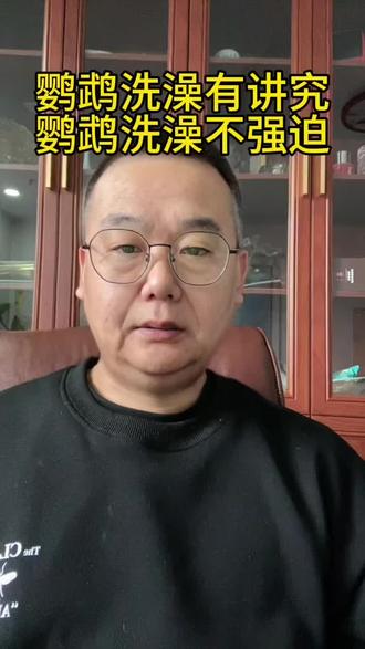 #鹦鹉 鹦鹉洗澡注意事项一定要记住