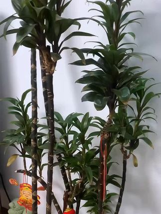 EVR骑行水壶大容量公路自行车专用挤压运动水杯便携渐变骑行装备#骑行水壶 #挤压运动水壶 #骑行装备用品