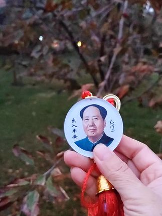#向伟人致敬 #怀念伟人不忘历史 #伟人永远活在我们心中 #纪念伟人#红色传承