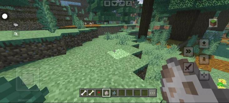 解锁成就:永恒的伙伴