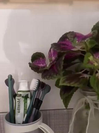 #好物推荐🔥 #好东西一起分享 #上热门🔥