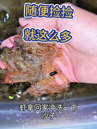 水里如果有虾就会上,没虾扔啥都没用#草莓水搞虾#抓虾小神水#抓虾教程