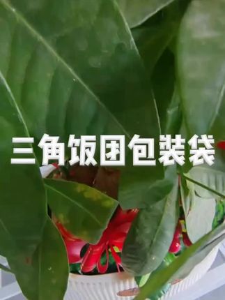 笑口喵三角饭团包装袋防雾食品级日式可微波炉加热寿司饭团打包袋 #好物分享 #好物推荐 #好物 #居家好物