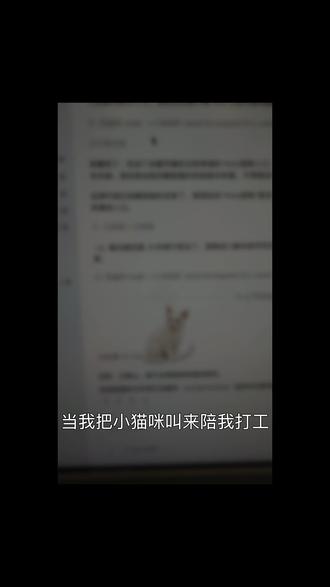 Codex让小猫陪我打工(附制作教程)
#AI #宠物 #Codex #ai新星计划 #vibecoding大赏 @DOU+小助手 @抖音科技