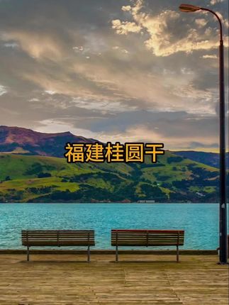 福建桂圆干肉厚新货新果龙眼干大果非无核泡水炖汤泡茶#龙眼干#桂圆干#桂圆#龙眼#龙眼干肉