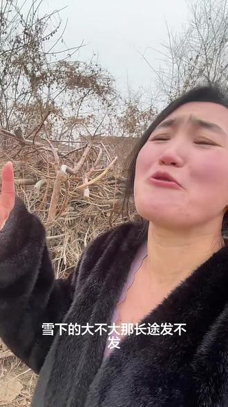 雪还下不下回不回老家