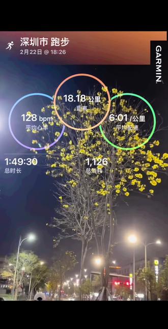 黄风铃花开了,明黄明黄的,真养眼🫠