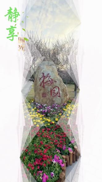 与同事相约梅园,梅花的韵致,是寂静里藏着的炽热火焰,当它绽放,寒冬瞬间有了温度与浪漫。