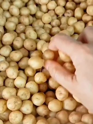 恩施小土豆,可炒可煎可焖饭#土豆#黄心土豆