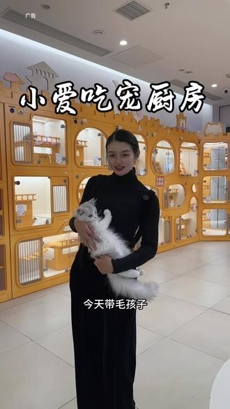 洗完都是香香的#养猫新手 #宠物用品 #宠物洗护 #宠物店 #宠物知识