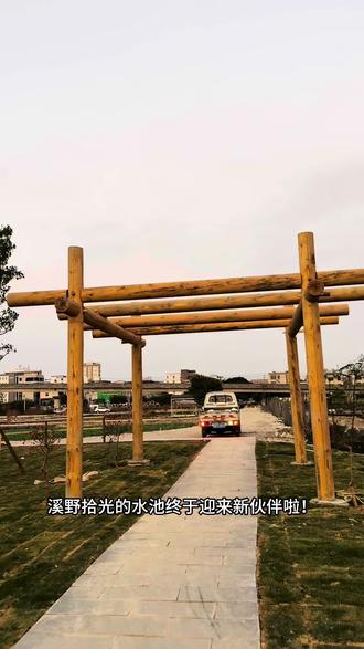 愿你365天 天天有好运
#溪野拾光 #锦鲤鱼池 #虹运开年定制你的贺年mv