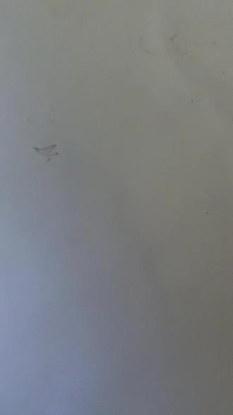 人鱼新娘怎么画?