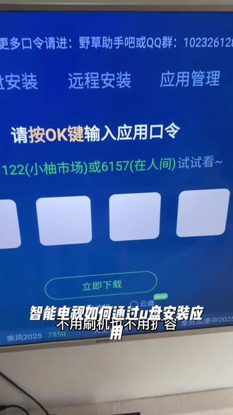 智能电视U盘安装野草助手口令更新海量应用安卓投影仪机顶盒通用