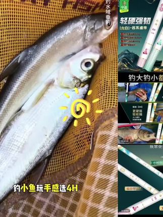 中逵太白竿太白系列台钓竿休闲钓竿小综合竿大物竿鲫鲤草鳊钓鱼竿#钓鱼装备