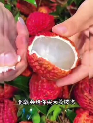 鸡蛋大小还没有核的荔枝#荔枝@巨量千川