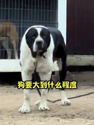 狗要大到什么程度