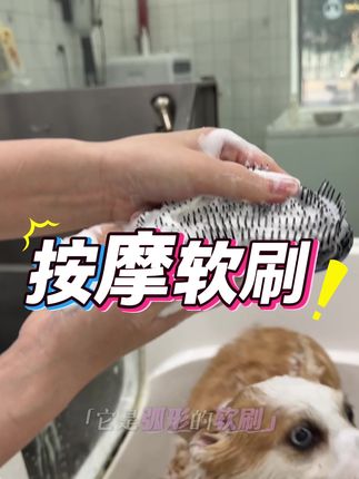 家长在家洗狗狗必备好物 这款洗澡按摩刷可可以帮助家长在家洗狗狗时,不仅可以刷皮肤刷毛发根部刷油脂,还可以帮助狗狗按摩#养宠知识 #新手养宠 #宠物科普 #宠物用品 #科学养宠