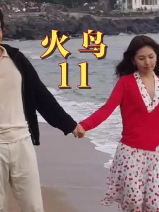 火鸟11,穷小子拒绝丈母娘的帮忙,富家千金再也受不了艰苦的生活,两人大吵一架,#韩剧 #经典影视 #因为一个片段看了整部剧 #一起追剧 #火鸟