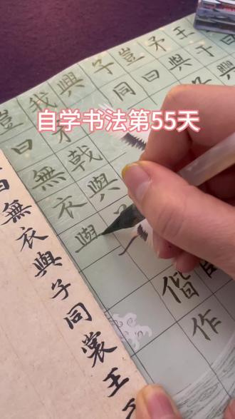 #热门话题🔥 自学书法第55天,今天绿墨配绿纸,来写《无衣》,卸下束缚,着一身无衣,执一支毛笔,一撇一捺尽诉衷肠!#练字 #练字是一种生活 #书法 #书法爱好者
