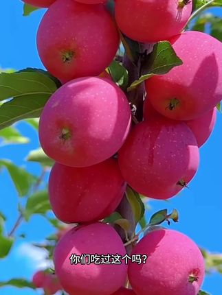 #脆甜多汁 #应季水果 #优质水果 #优质农产品 两件九折哦!