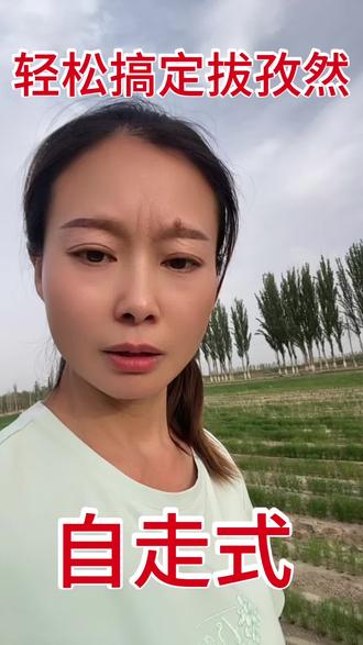 河北牛博士孜然起拔机,有着三年的实战经验,在孜然地里可以轻松干活,第四年才上市,有着专利号,关注安姐!#新疆农业 #我真实的样子 #农业种植技术 #新疆孜然