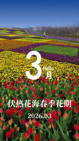 #花海 #郁金香 #伏热花海 春天说来就来了……赏花攻略奉上!