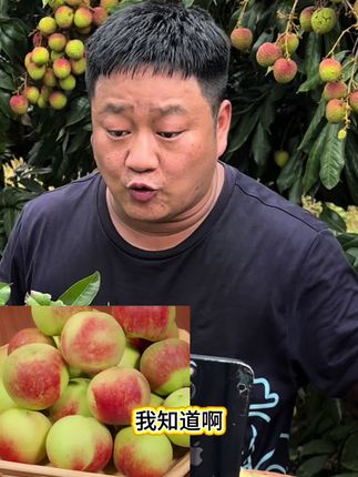 一口爆汁的蜜桃真的太好吃了,每年只有这个时候才能吃到,现摘现发,果味浓郁汁水多#桃子 #新鲜应季水果 #水果#青州蜜桃