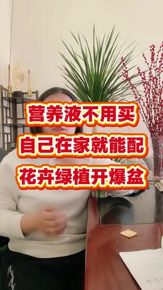 #养花 #养花小知识 #花卉绿植 #盆栽 #养花小技巧