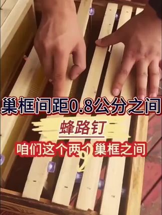 如果你是土养中蜂,想要标准又规范,那一定要试试这种蜂路钉,它能帮你把巢框之间的距离固定得刚刚好,让小蜜蜂们住得舒服又整齐。而且有了它之后,再也不用担心巢框会乱跑了,用起来超级方便,轻轻一按就能搞定,简直是强迫症患者的福音啊!快来试试吧,让你的蜂群更有序!