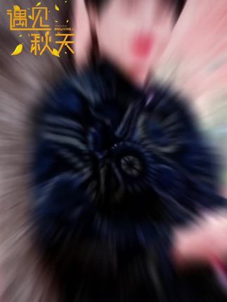 #留住美好时光 #落叶知秋