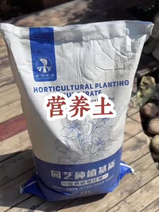 终于找到一款高性价比的营养土了,养花种菜都用它~#养花