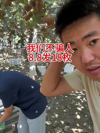 #徐香猕猴桃