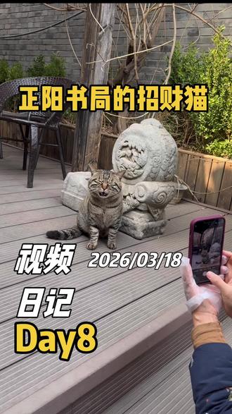 猫狗大战,养猫养狗,猫还是排在前面!正阳书局的猫好大肚啊,可能我家狗太小肚鸡肠了。到底谁说猫打人?人家明明是招手的招财猫!猫咖就是这么来的#上热门 #探店