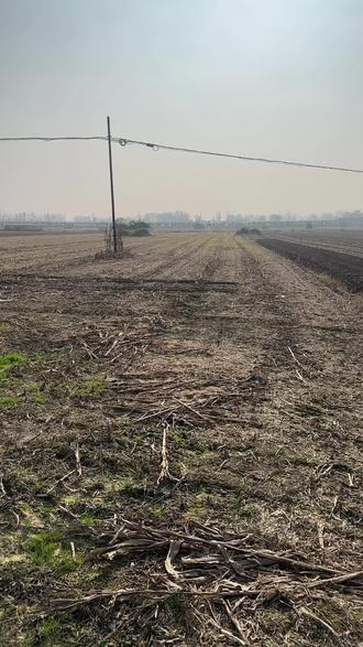 小麦洒起来#无人机 播种小麦