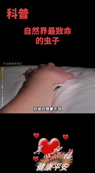 夏天到了,大家要小心哦!