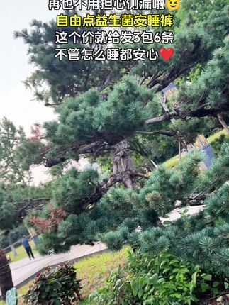 姐妹们!自由点益生菌安睡裤必须冲~专为女性经期健康设计,添加益生菌很贴心。M - L码,适合40 - 65kg的姐妹,晚上穿它,不管怎么动都安心,像给经期睡眠上了层“保险”,再也不用担心侧漏啦,一觉睡到天亮~#自由点益生菌卫生巾 #自由点 #安睡裤怎么睡都不怕