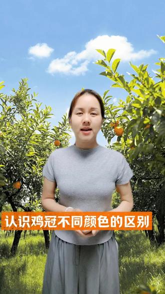 不同颜色的鸡冠反应不同的问题