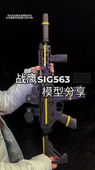 战鹰SIG563模型玩具 无任何功能模型玩具分享
#wargame #模型玩具 #战术装备 #拥有玩具枪的快乐 #国外合法拍摄国内请勿模仿