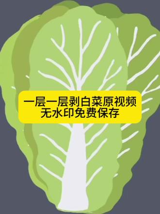 拨开一层一层的外壳原视频无水印免费保存教程来了! 拨开一层一层外壳,拨开一层一层外壳会发现一个萌萌的我,剥开一层一层外壳会发现一个萌萌的我,拨开白菜是仓鼠原视频,剥开白菜是仓鼠原视频,打开白菜是仓鼠原视频,仓鼠吃白菜原视频,剥开一层一层外壳原视频,剥开一层一层外壳视频,剥开一层一层外壳原素材,剥开一层一层外壳会发现一个萌萌的我原视频#剪映 白菜里面藏仓鼠,白菜里面藏仓鼠原视频,剥开一层层的外壳白菜,#大白菜 #大白菜百财 #剥开外壳