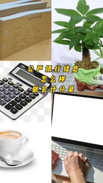 公户银行结息怎样做账,看完这个视频就会了#会计分录 #公户