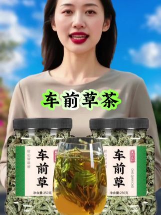 #车前草#人工采摘自然晾晒#源头产地直发#自用好物分享#我要上热门🔥