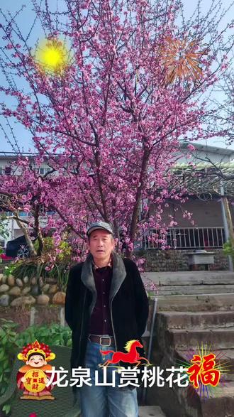 #踏春赏花 龙泉山上赏桃花,马年有福马上来财,马年顺利#和春天的花花合个影 #记录生活 祝家人朋友们身体健康,早上好