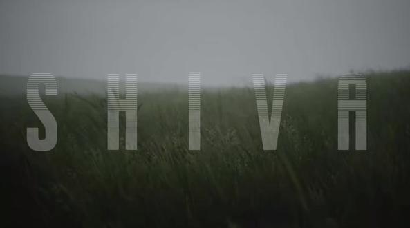 只要看过湿婆像 你就离不开印度了
#shiva #夜行灯花宵