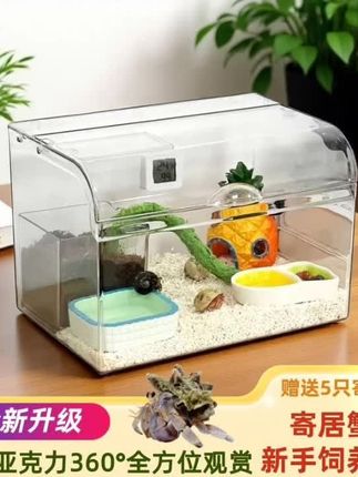 寄居蟹新手饲养套装 想入坑的朋友可以直接入手,还会赠送几只寄居蟹。这一款非常适合新手朋友,还有放在办公室也是非常合适哦!#寄居蟹  #寄居蟹饲养缸造景套装   #寄居蟹饲养指南  #寄居蟹的家  #寄居蟹怎么养