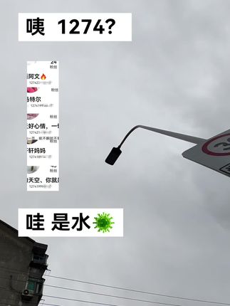 #抖音热搜 #水军 #此地无银三百两