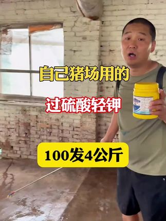#养猪技术 #养猪人加油