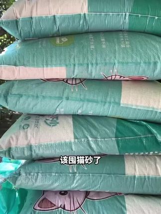 #猫砂 #猫砂测评 #好用不贵经济实惠 #新手养猫#萌宠好物
