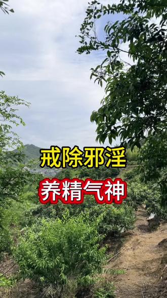 功名看气概,富贵看精神,养自己的精气神#戒色 #戒色的好处 #因果 #传统文化 #国学智慧